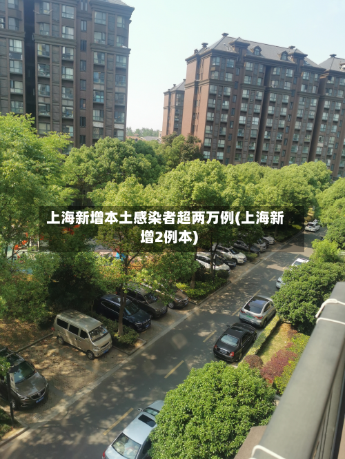 上海新增本土感染者超两万例(上海新增2例本)-第1张图片