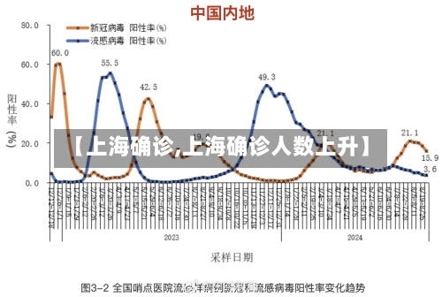 【上海确诊,上海确诊人数上升】