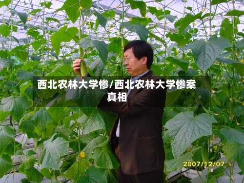 西北农林大学惨/西北农林大学惨案真相-第1张图片