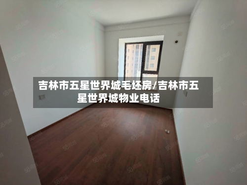 吉林市五星世界城毛坯房/吉林市五星世界城物业电话-第3张图片