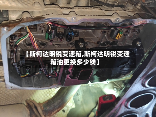 【斯柯达明锐变速箱,斯柯达明锐变速箱油更换多少钱】-第1张图片