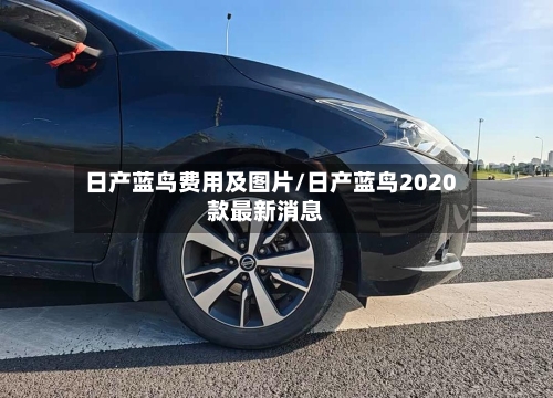 日产蓝鸟费用及图片/日产蓝鸟2020款最新消息-第1张图片