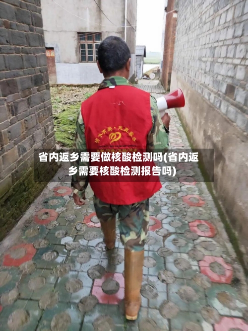 省内返乡需要做核酸检测吗(省内返乡需要核酸检测报告吗)-第2张图片