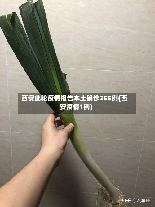 西安此轮疫情报告本土确诊255例(西安疫情1例)-第2张图片