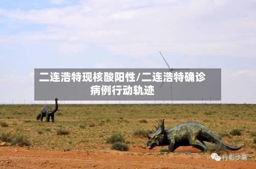 二连浩特现核酸阳性/二连浩特确诊病例行动轨迹-第1张图片