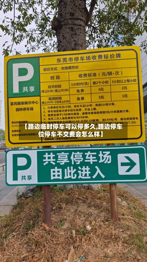 【路边临时停车可以停多久,路边停车位停车不交费会怎么样】-第3张图片