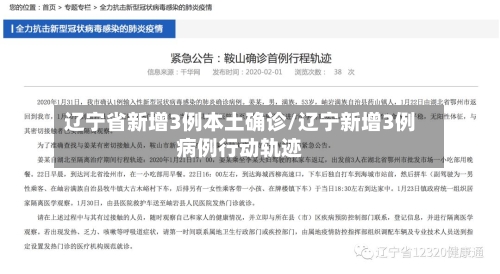 辽宁省新增3例本土确诊/辽宁新增3例病例行动轨迹-第2张图片