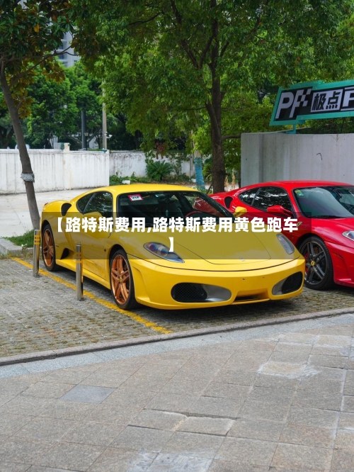 【路特斯费用,路特斯费用黄色跑车】-第1张图片