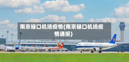 南京禄口机场疫情(南京禄口机场疫情通报)-第2张图片