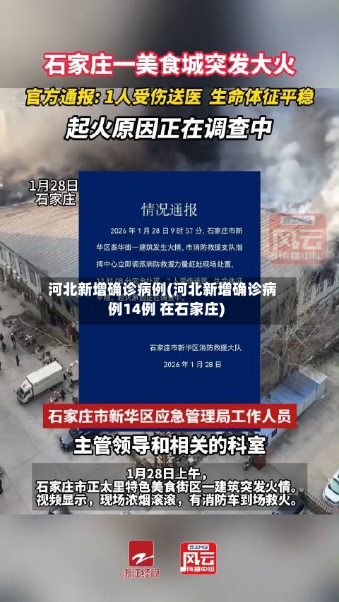 河北新增确诊病例(河北新增确诊病例14例 在石家庄)