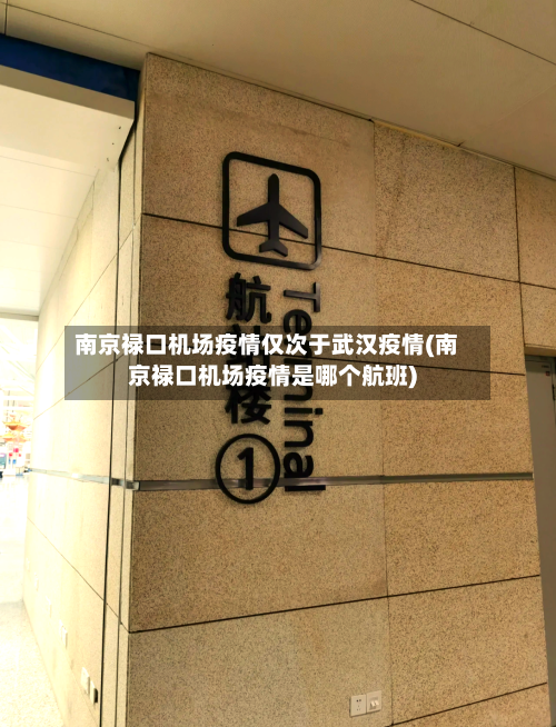 南京禄口机场疫情仅次于武汉疫情(南京禄口机场疫情是哪个航班)-第1张图片