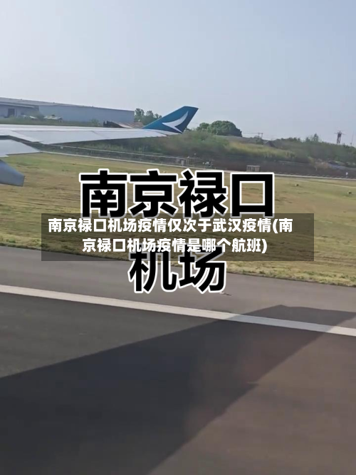 南京禄口机场疫情仅次于武汉疫情(南京禄口机场疫情是哪个航班)-第2张图片