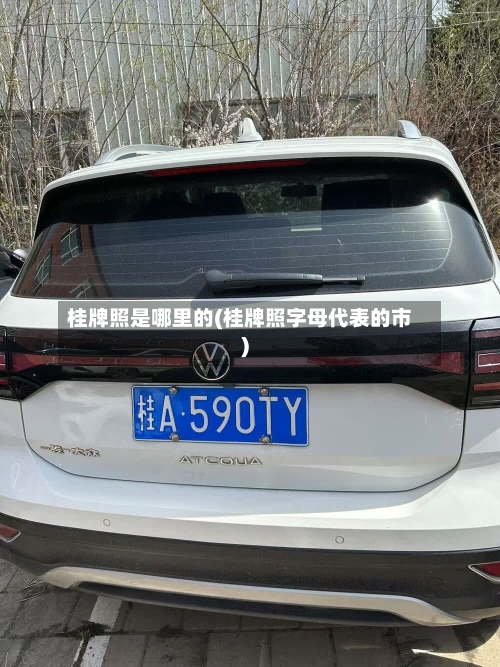 桂牌照是哪里的(桂牌照字母代表的市)-第2张图片
