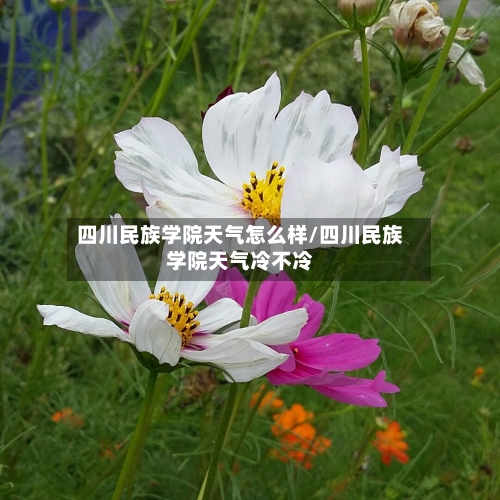 四川民族学院天气怎么样/四川民族学院天气冷不冷-第1张图片