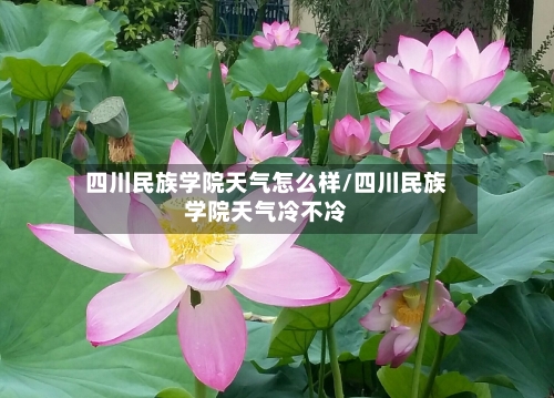 四川民族学院天气怎么样/四川民族学院天气冷不冷-第3张图片