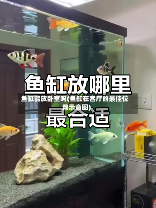 鱼缸能放卧室吗(鱼缸在客厅的最佳位置示意图)-第1张图片