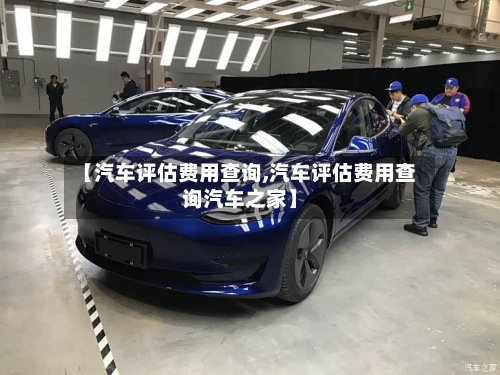 【汽车评估费用查询,汽车评估费用查询汽车之家】-第3张图片