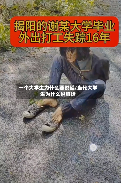 一个大学生为什么要说谎/当代大学生为什么说脏话-第1张图片