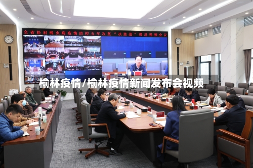 榆林疫情/榆林疫情新闻发布会视频-第1张图片