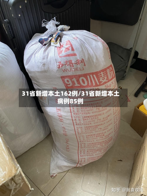 31省新增本土162例/31省新增本土病例85例-第1张图片