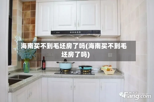 海南买不到毛坯房了吗(海南买不到毛坯房了吗)-第1张图片