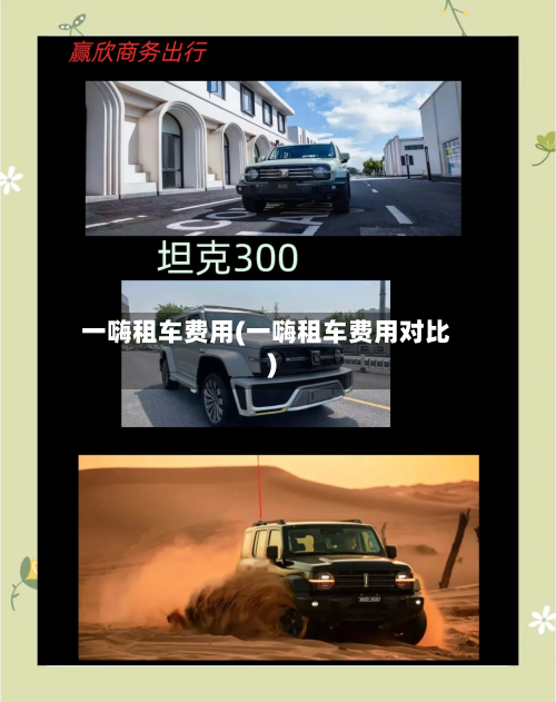 一嗨租车费用(一嗨租车费用对比)-第1张图片
