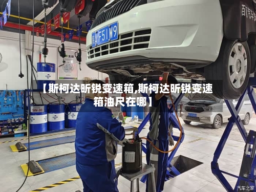 【斯柯达昕锐变速箱,斯柯达昕锐变速箱油尺在哪】-第1张图片