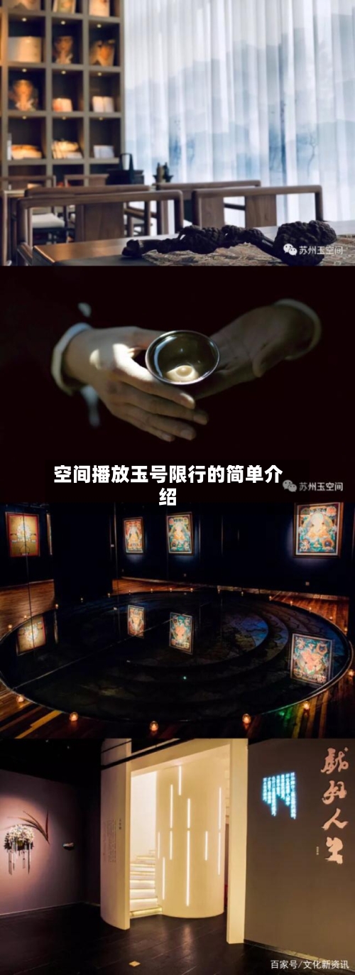 空间播放玉号限行的简单介绍-第1张图片