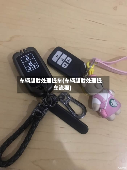 车辆超载处理提车(车辆超载处理提车流程)-第1张图片