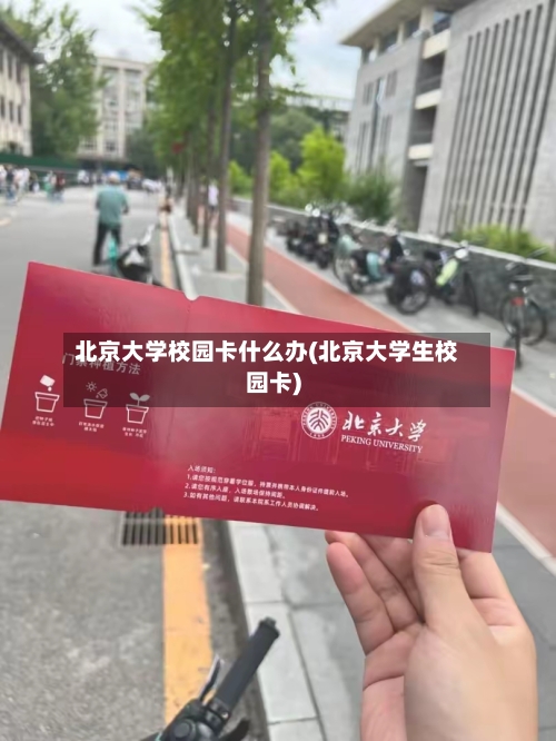 北京大学校园卡什么办(北京大学生校园卡)-第1张图片