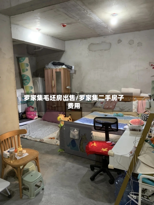 罗家集毛坯房出售/罗家集二手房子费用-第1张图片