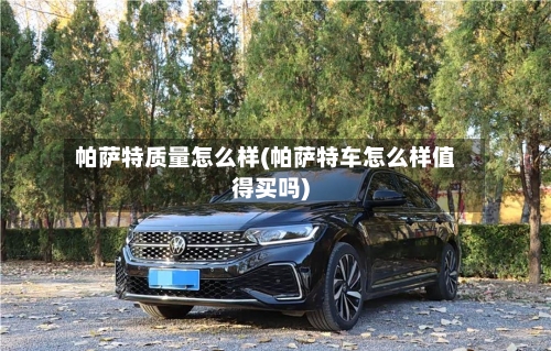 帕萨特质量怎么样(帕萨特车怎么样值得买吗)-第1张图片