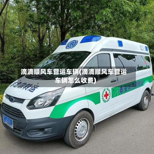 滴滴顺风车营运车辆(滴滴顺风车营运车辆怎么收费)-第1张图片