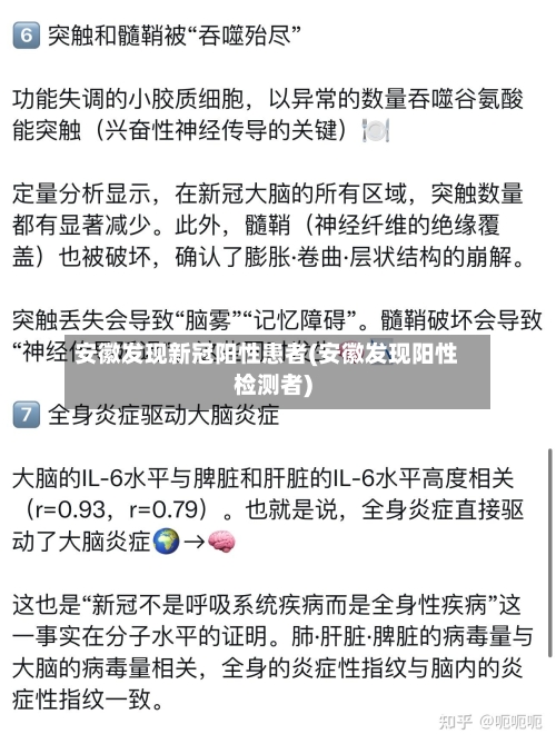 安徽发现新冠阳性患者(安徽发现阳性检测者)-第1张图片