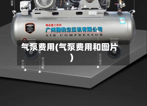 气泵费用(气泵费用和图片)-第1张图片