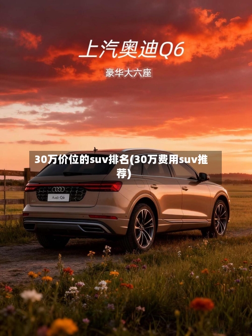 30万价位的suv排名(30万费用suv推荐)-第1张图片