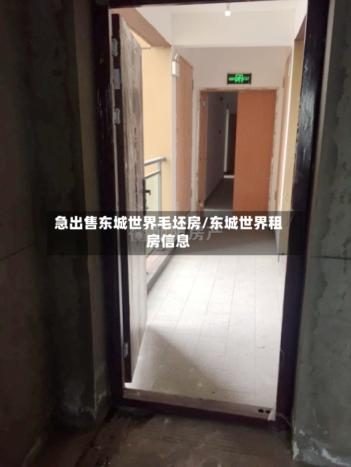 急出售东城世界毛坯房/东城世界租房信息-第1张图片