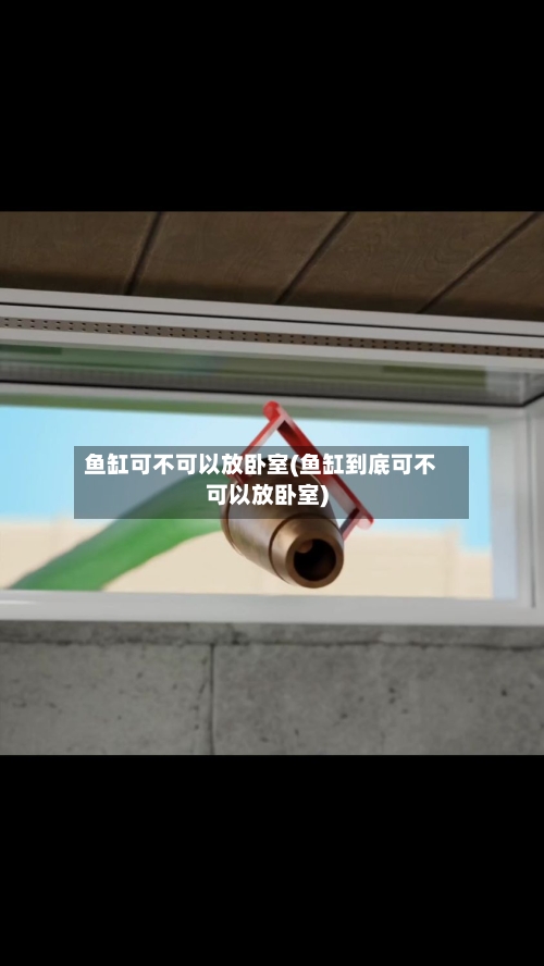 鱼缸可不可以放卧室(鱼缸到底可不可以放卧室)-第1张图片