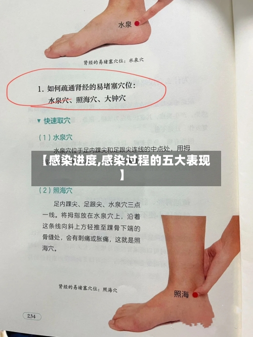 【感染进度,感染过程的五大表现】-第1张图片