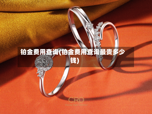 铂金费用查询(铂金费用查询最贵多少钱)-第1张图片