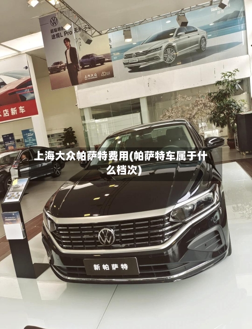 上海大众帕萨特费用(帕萨特车属于什么档次)-第1张图片