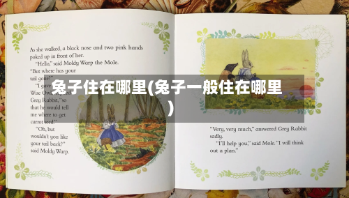 兔子住在哪里(兔子一般住在哪里)-第1张图片