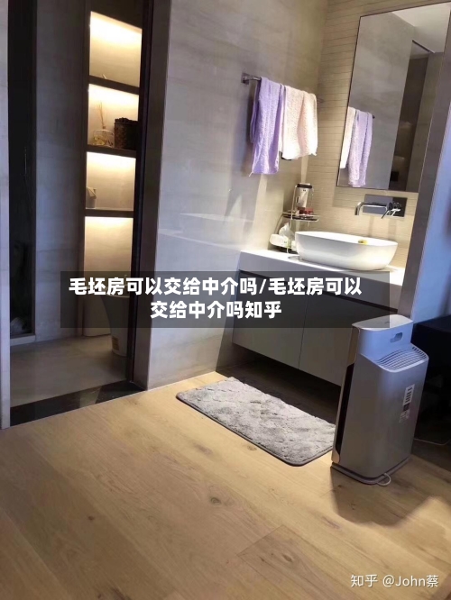 毛坯房可以交给中介吗/毛坯房可以交给中介吗知乎-第1张图片