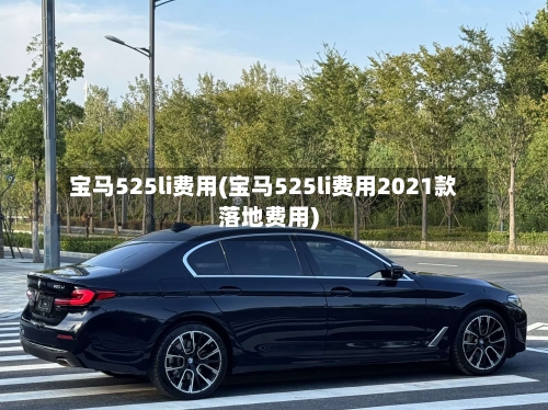 宝马525li费用(宝马525li费用2021款落地费用)-第3张图片