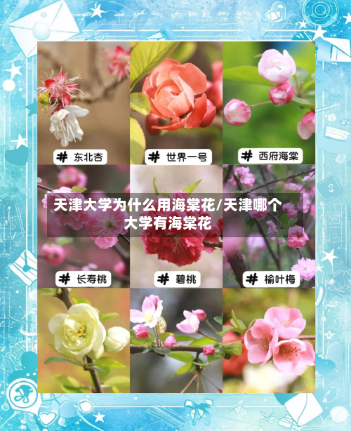 天津大学为什么用海棠花/天津哪个大学有海棠花-第1张图片
