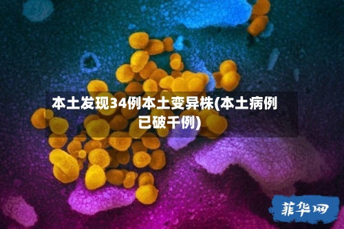 本土发现34例本土变异株(本土病例已破千例)