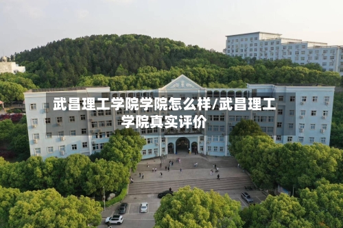 武昌理工学院学院怎么样/武昌理工学院真实评价-第1张图片