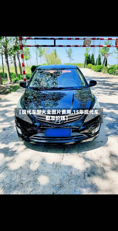 【现代车型大全图片费用,15年现代车型及价钱】-第1张图片