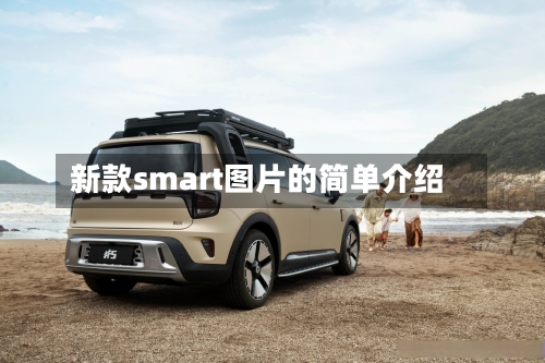 新款smart图片的简单介绍-第1张图片