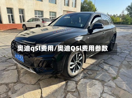 奥迪q5l费用/奥迪Q5l费用参数-第1张图片